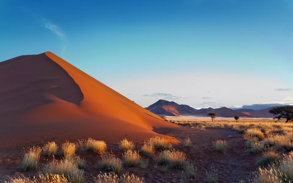 Sossusvlei-Düne in der Namib-Wüste, Namibia - ©Iuliia Sokolovska - stock.adobe.com