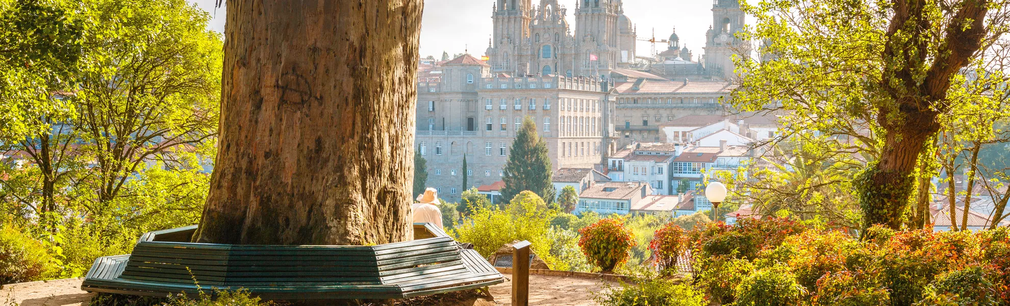 Kathedrale von Santiago de Compostela im Sonnenaufgang - © francesco riccardo iacomino