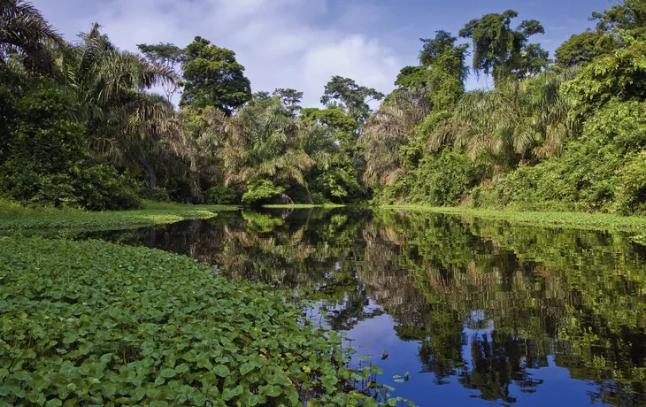 © pwollinga - Fotolia - Amazonas