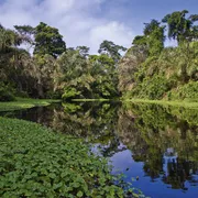 Amazonas