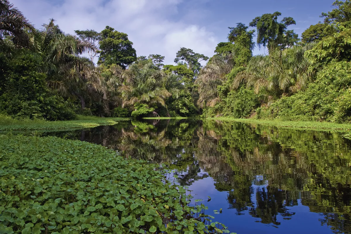 Amazonas - © pwollinga - Fotolia