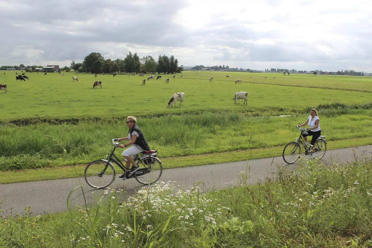 Velofahren in Südholland