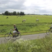 Velofahren in Südholland