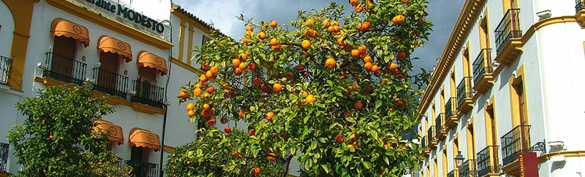 Altstadt von Sevilla mit Orangenbäumen