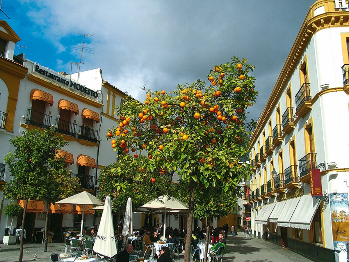 Altstadt von Sevilla mit Orangenbäumen