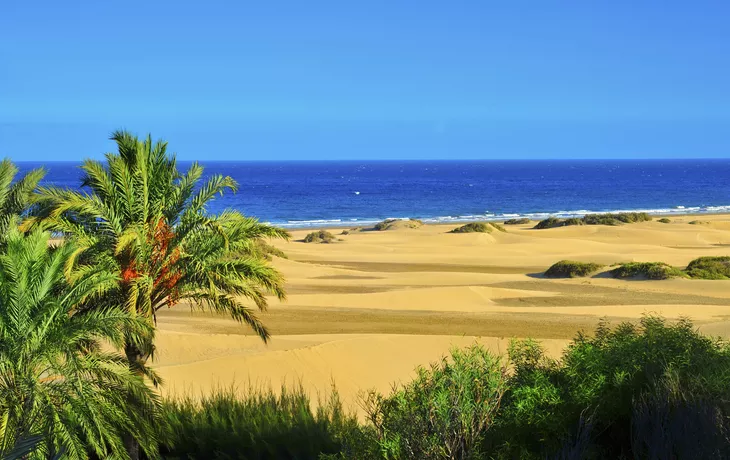 © Getty Images/iStockphoto - Maspalomas, Gran Canaria