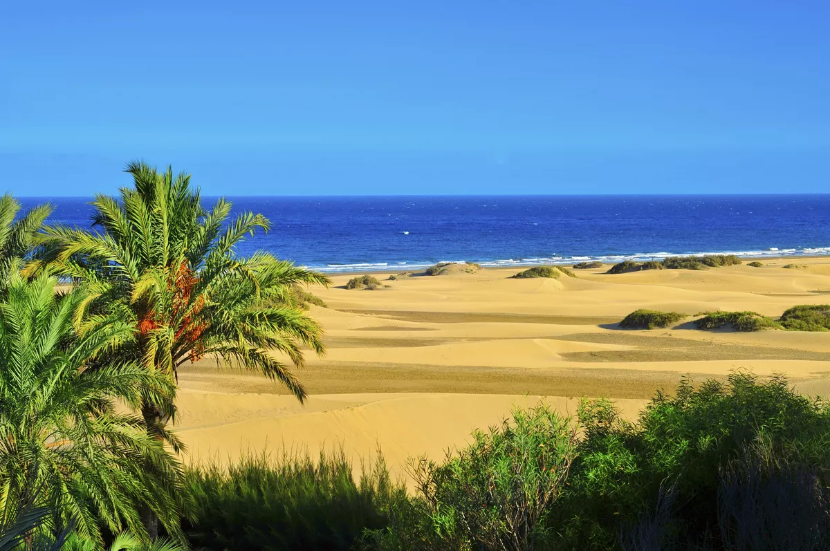 Maspalomas, Gran Canaria - © Getty Images/iStockphoto