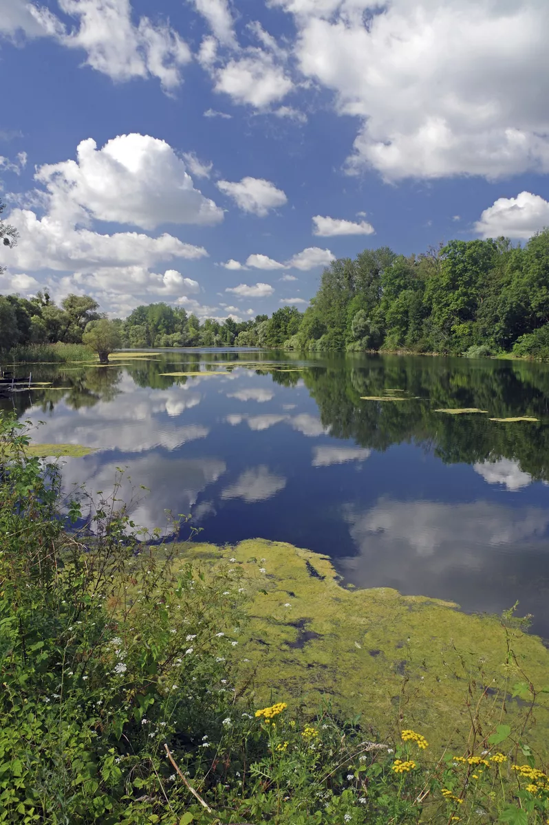 Idylllischer Altrheinarm - SE-Tours