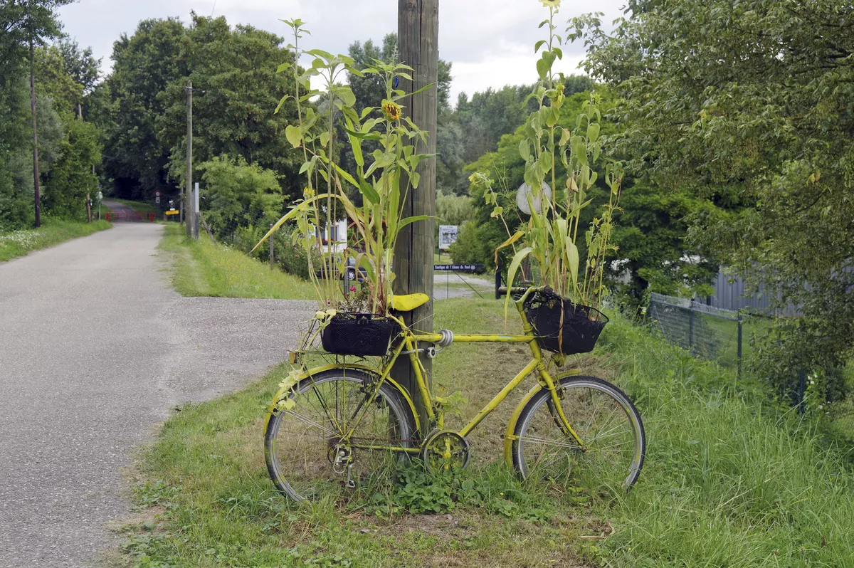 Rhein-Radweg im Elsass - SE-Tours