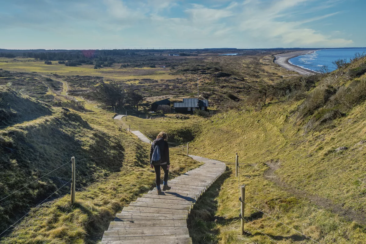 Nationalpark Thy - © Frank Bach - frank@frankix.dk