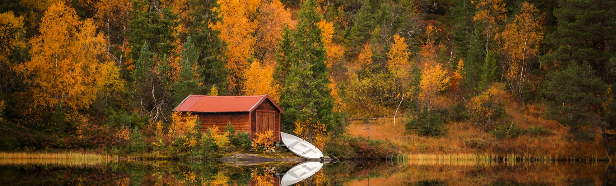 herbstliches Waldgebiet Bymarka nahe Trondheim - © Adrian - stock.adobe.com