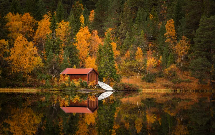 herbstliches Waldgebiet Bymarka nahe Trondheim - © Adrian - stock.adobe.com