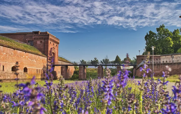 Stadtpark Fronte Lamotte in Germersheim - © mabreart - stock.adobe.com