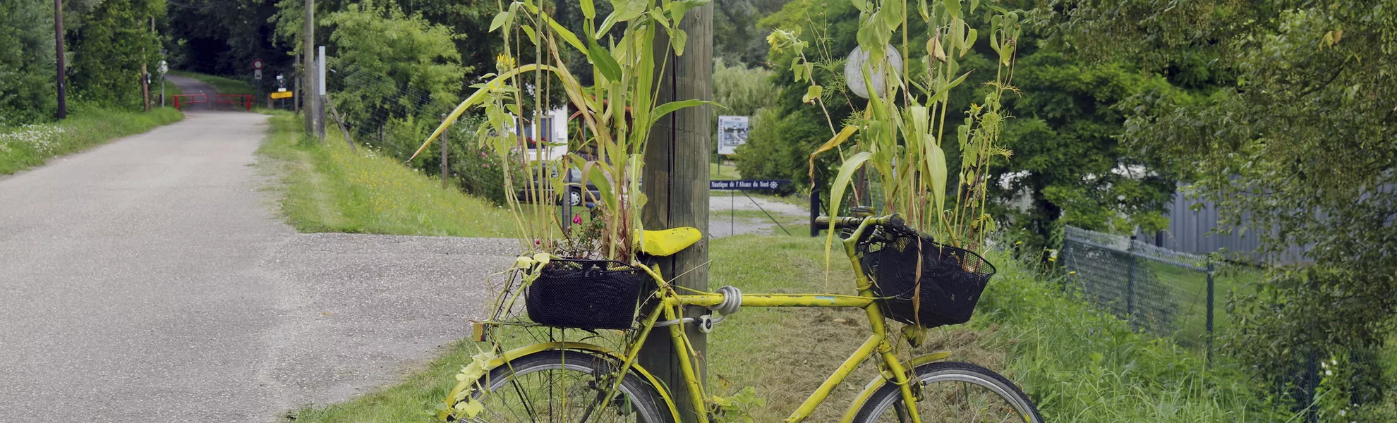 Rhein-Radweg im Elsass - SE-Tours