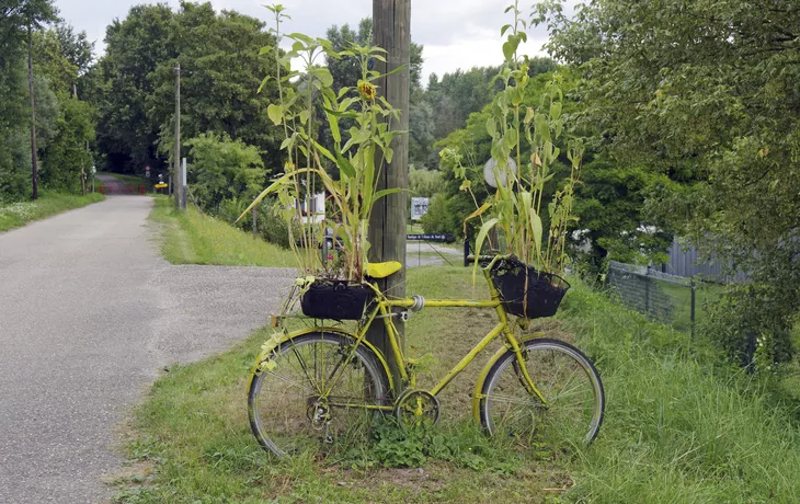 Rhein-Radweg im Elsass - SE-Tours