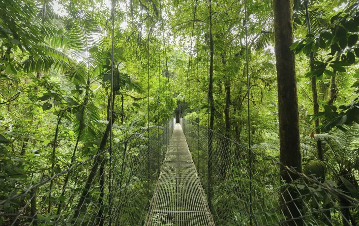 Sky Walk Monteverde - © Getty Images/iStockphoto
