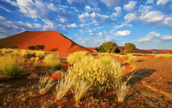 Sossusvlei-Düne in der Namib-Wüste, Namibia - © EcoView - Fotolia