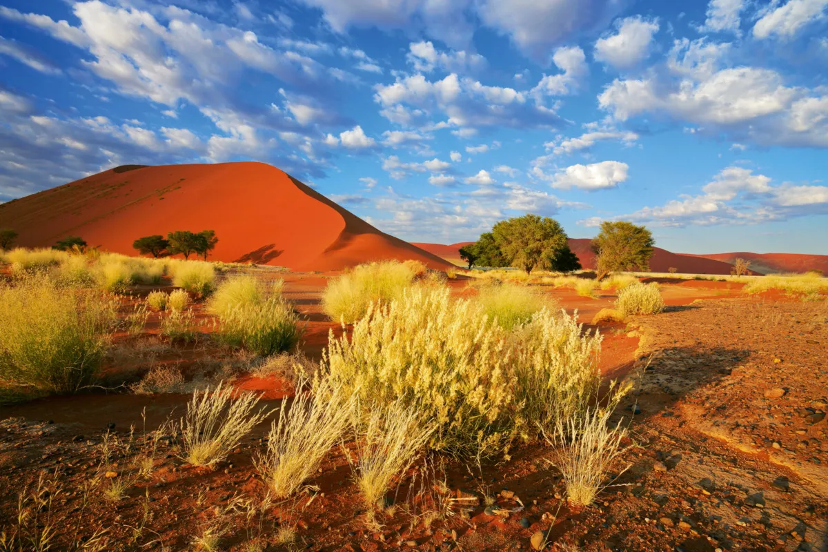 Sossusvlei-Düne in der Namib-Wüste, Namibia - © EcoView - Fotolia