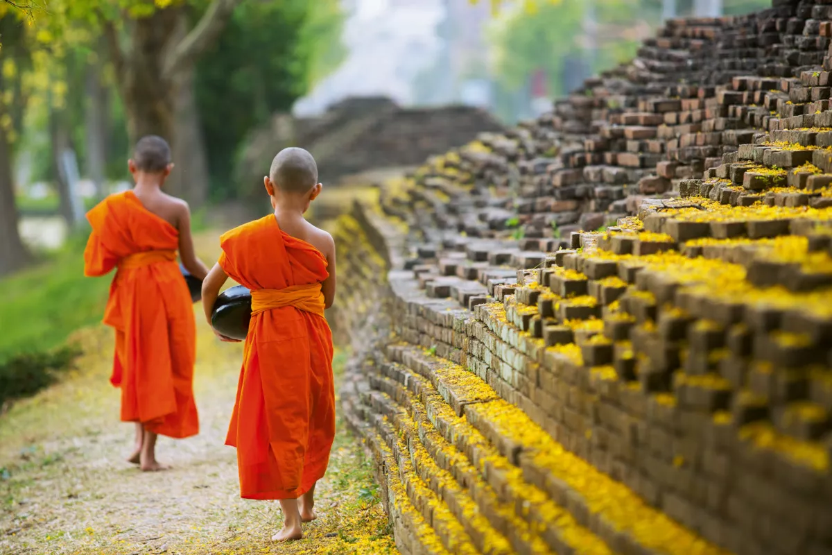Buddhistischer Mönch zu Fuß zum Essen empfangen - © DN6 - Fotolia