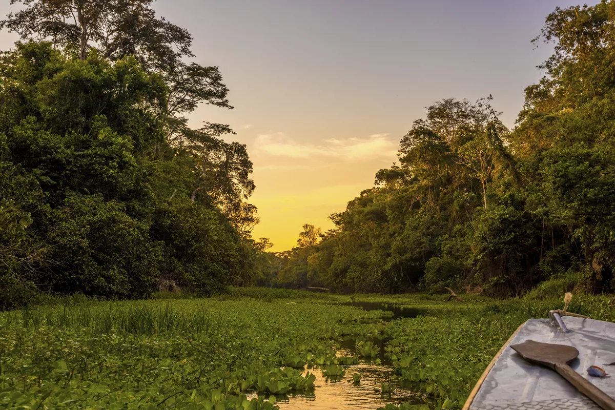 Abendstimmung im Amazonas-Gebiet - © JSoltys Photography - stock.adobe.com