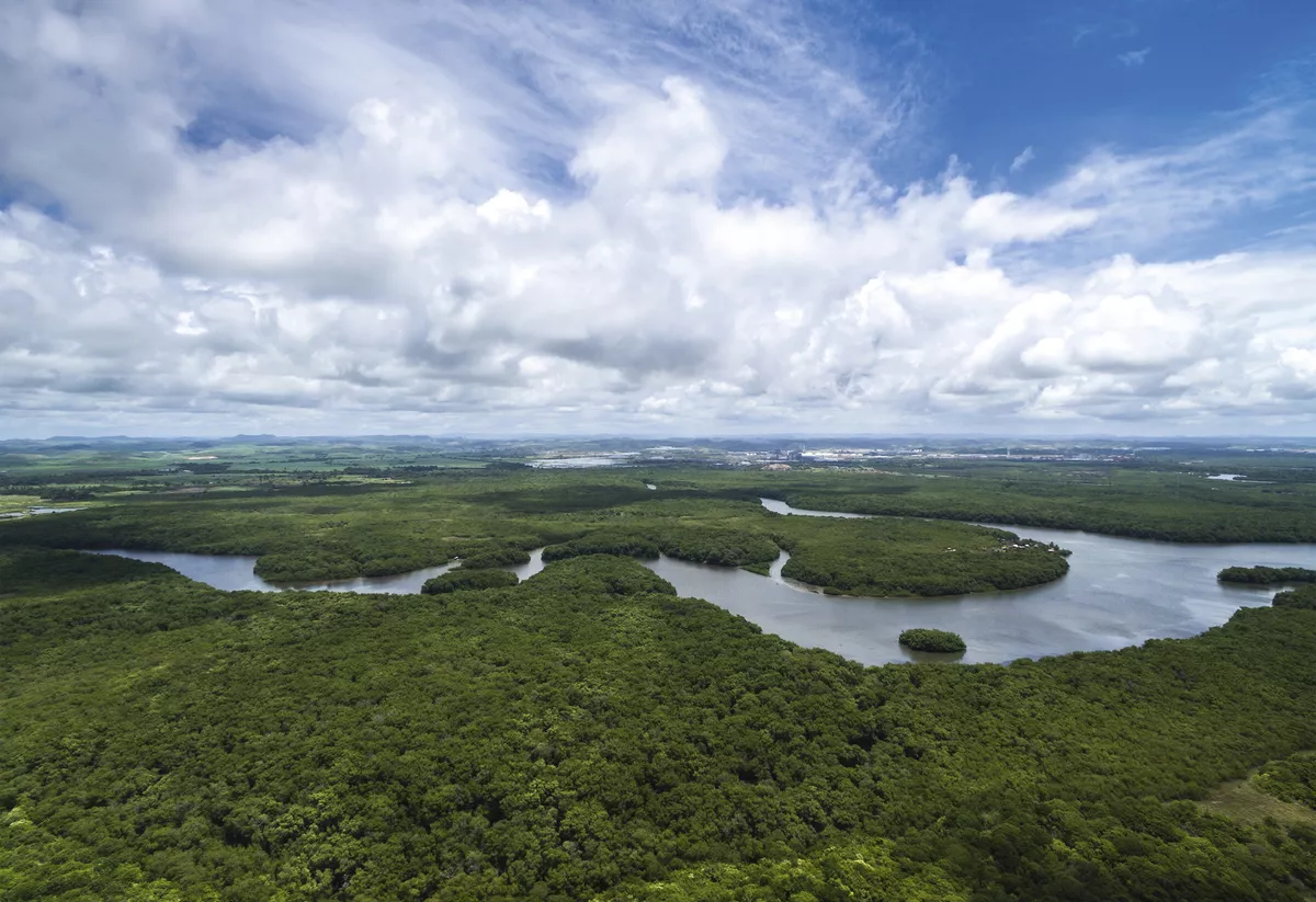 Amazonas-Regenwald - © gustavofrazao - Fotolia