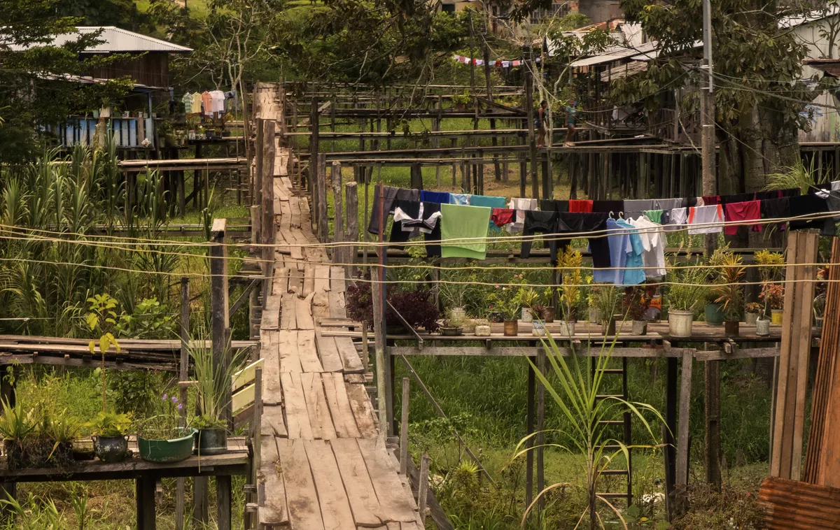 Dorf im Amazonas - © 