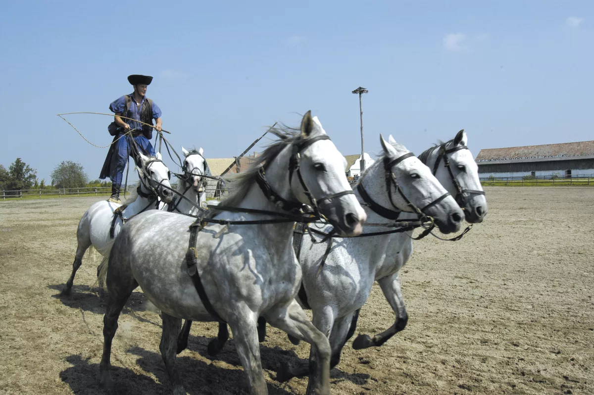 Reitvorführung, Puszta - © Tim Lilling www.timlilling.de