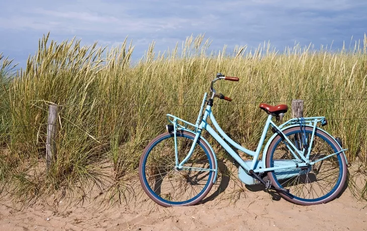 blaues Fahrrad abgestellt in den niederlndischen Dnen - © Bjrn Wylezich - Fotolia