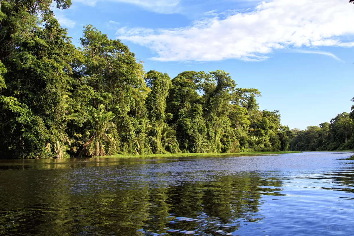 Tortuguero National Park - © henk bogaard - stock.adobe.com