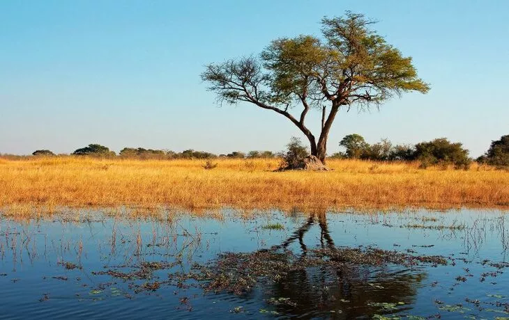 Kwando River - © EcoView - Fotolia