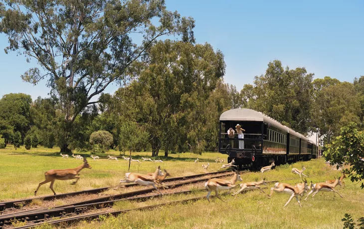 Safari auf Schienen - © Rovos Rail Tours