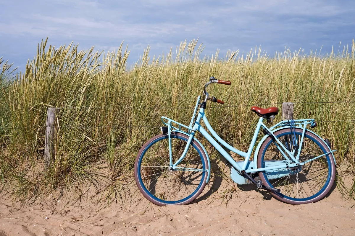 Dünenlandschaft nahe Hellevoetsluis - © Bjrn Wylezich - Fotolia