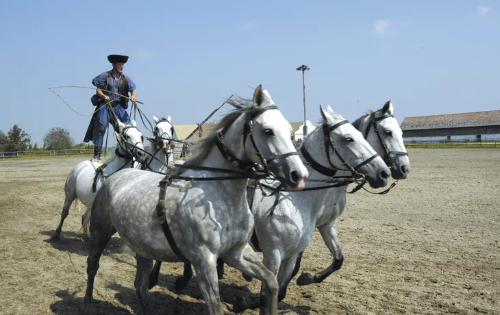 Reitvorführung in der Puszta - © Tim Lilling www.timlilling.de