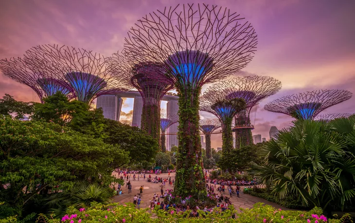 Gardens by the Bay in Singapur - © Richie Chan - stock.adobe.com