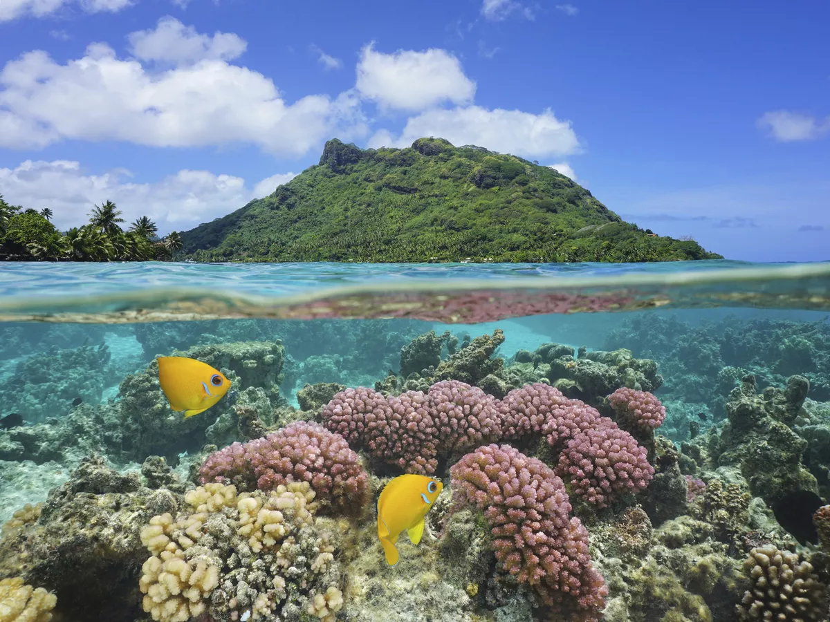 Französisch Polynesien - © Getty Images/iStockphoto