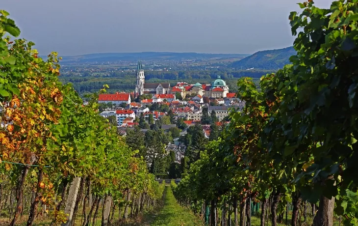 Blick durch die Weingärten auf das Stift Klosterneuburg - © rorue - stock.adobe.com