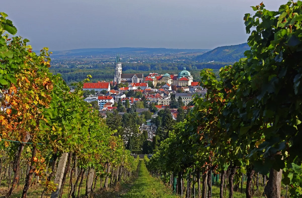 Blick durch die Weingärten auf das Stift Klosterneuburg - © rorue - stock.adobe.com