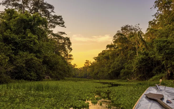 Abendstimmung im Amazonas-Gebiet - © JSoltys Photography - stock.adobe.com