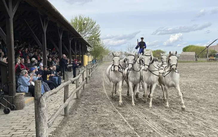 Pferdeshow in der Puszta