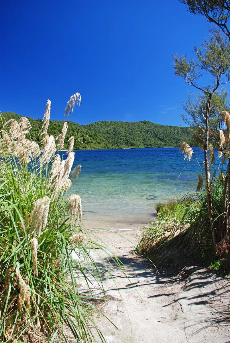 Ufer des Sees Waikaremoana - ©Jiri Foltyn - stock.adobe.com