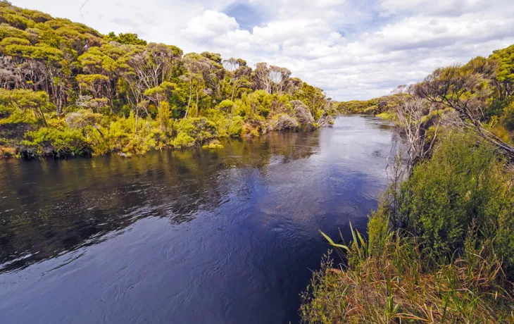 Stewart Island - © wildnerdpix - Fotolia