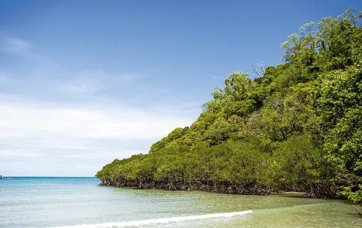 Strand nahe Cairns - © bodisint - Fotolia