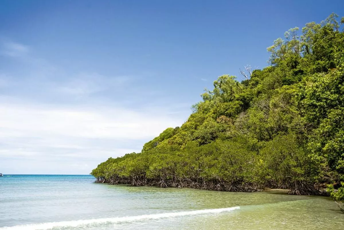 Strand nahe Cairns - © bodisint - Fotolia