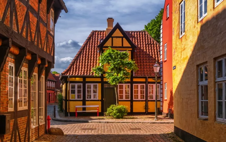 Ribe - © Elenarts - stock.adobe.com