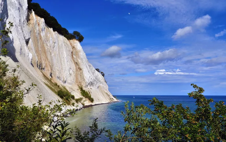 Møns Klint an der Ostsee - ©Manel Vinuesa - stock.adobe.com